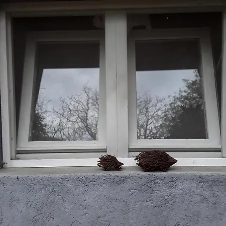 Bed & Breakfast L'albero Di Alberto *